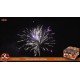 Πυροτεχνήματα 64 βολών Best price Wild fire