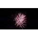 Πυροτεχνήματα 25 βολών MAGMA