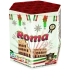 Πυροτεχνήματα 19 βολών Roma